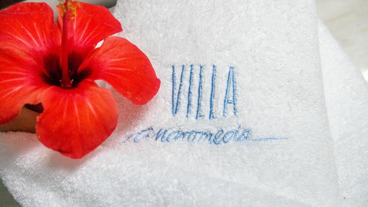 Villa Andromeda Chania  Exteriör bild